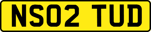 NS02TUD