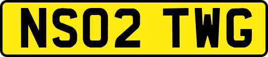 NS02TWG