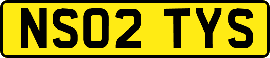 NS02TYS