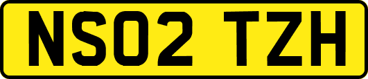 NS02TZH
