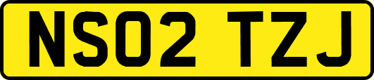 NS02TZJ
