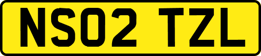 NS02TZL
