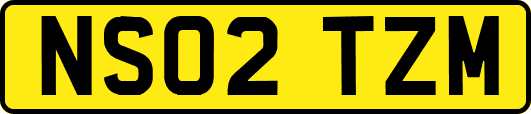 NS02TZM