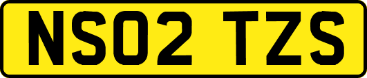 NS02TZS