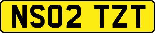 NS02TZT