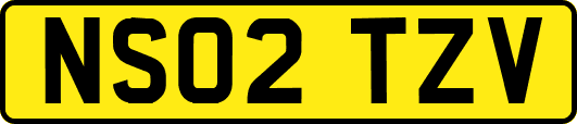 NS02TZV