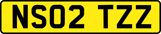NS02TZZ