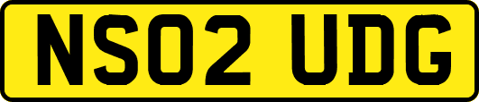 NS02UDG