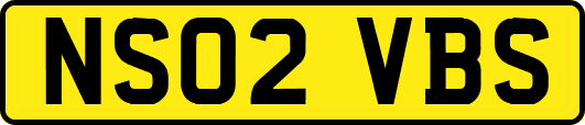 NS02VBS