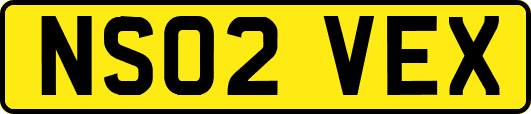 NS02VEX