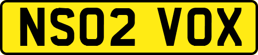 NS02VOX