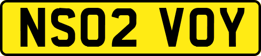 NS02VOY