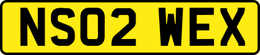 NS02WEX