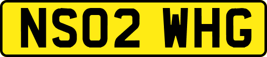 NS02WHG