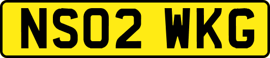 NS02WKG