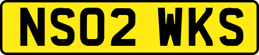 NS02WKS