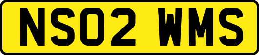 NS02WMS
