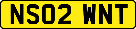 NS02WNT