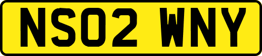 NS02WNY