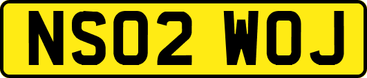 NS02WOJ