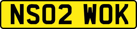 NS02WOK