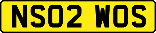 NS02WOS