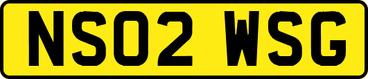 NS02WSG