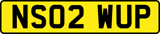 NS02WUP