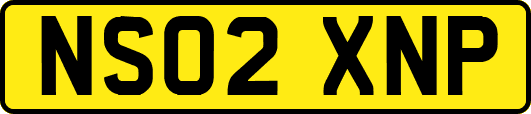 NS02XNP