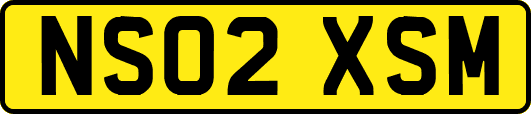 NS02XSM