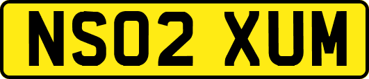 NS02XUM