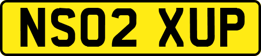 NS02XUP