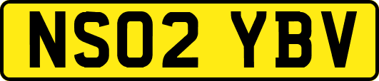 NS02YBV