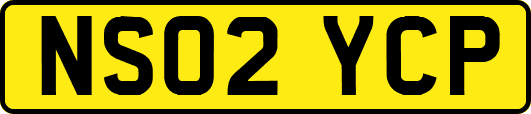 NS02YCP