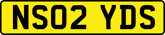 NS02YDS