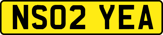 NS02YEA