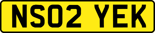 NS02YEK