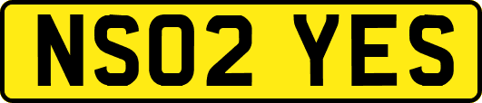 NS02YES