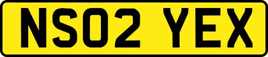 NS02YEX