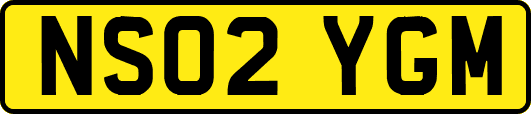 NS02YGM