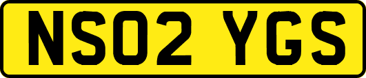 NS02YGS