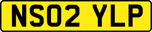 NS02YLP