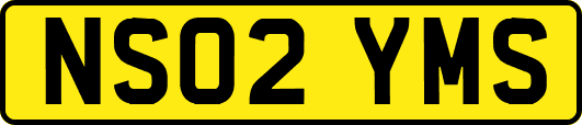 NS02YMS