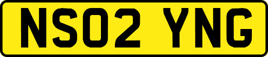 NS02YNG