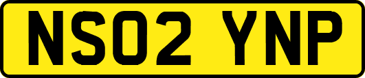 NS02YNP