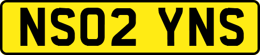 NS02YNS