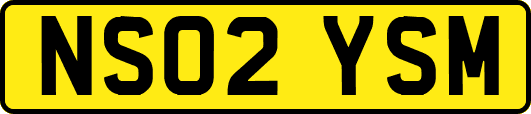 NS02YSM