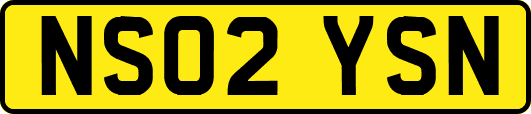 NS02YSN