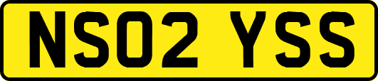NS02YSS
