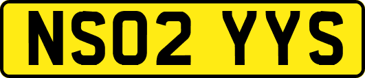 NS02YYS